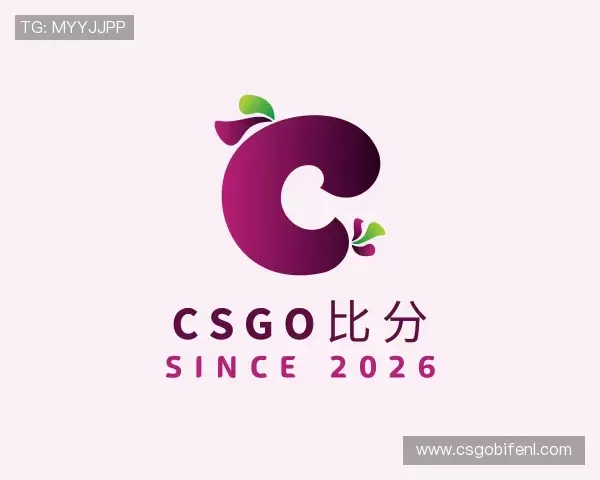 介绍CSGO比分